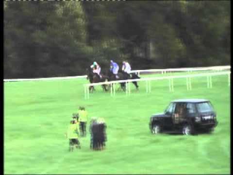 Lot 54 Tomngerry, Cheltenham November Sale 2015