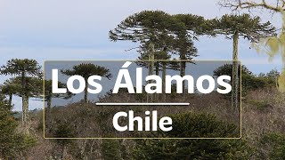 preview picture of video 'LOS ÁLAMOS, BÍO BÍO, CHILE'