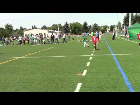 Irlandia Walia Deichmann 2015 skrót meczu