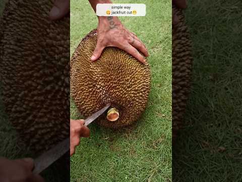 simple and shortcut jackfruit cut 😋👍😁#shorts #youtubeshorts #trending #fruit