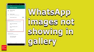 WhatsApp images not showing in gallery of android device - How to Fix it