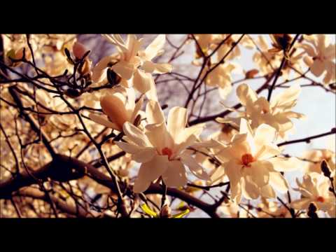 Engelbert Humperdinck & Louise Dorsey - Healing