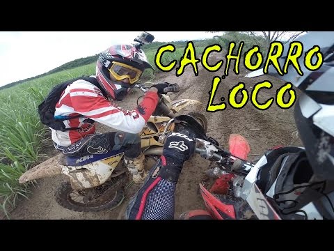 Trilha de Moto STEKA 135 Eq.Cachorro loco Tribute !