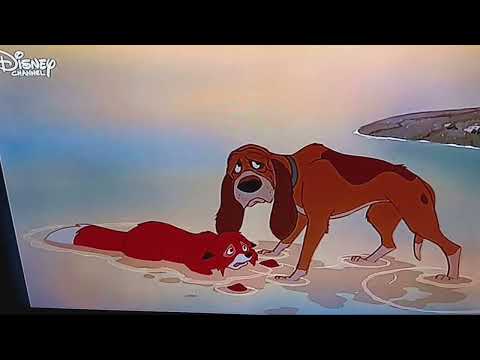 Cap und Capper (Disney 1981) - Capper beschützt Cap