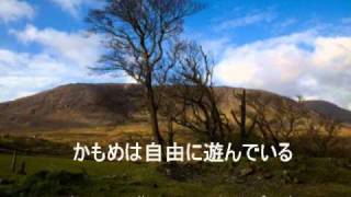 Galway Sky - Emiko Shiratori 白鳥英美子 with Lyrics