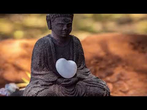 Der Weg des Herzens Hörbuch