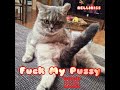 FUCK MY PUSSY