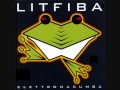 08 Spia Elettromacumba Litfiba