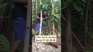 Download lagu WHILE THERE'S A CHANCE🤣 #viralfunnyvideo entertainment for citizens 62 funny comedy mp3 Download lagu WHILE THERE'S A CHANCE🤣 #viralfunnyvideo entertainment for citizens 62 funny comedy mp3