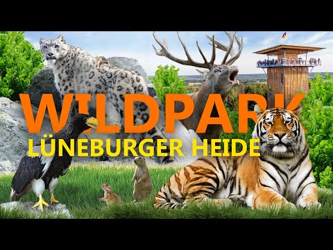 Wildpark Lueneburger Heide