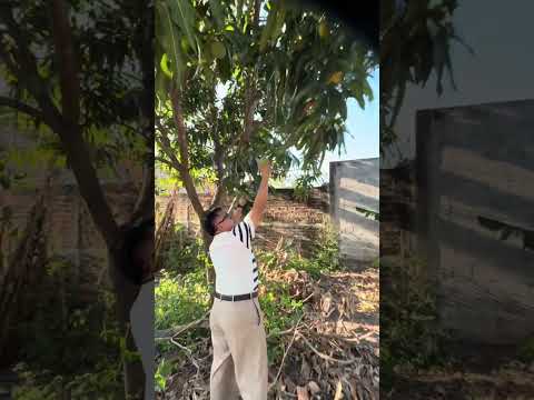 1. "¡TERRENO DE 252 m² EN SAN RAFAEL OBRAJUELO! 📍🏠" ¿Buscas un terreno en Departamento de La Paz?