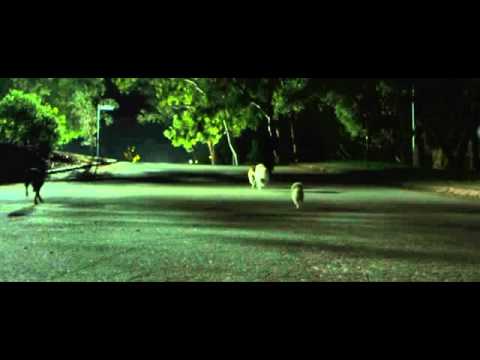 Бульвар страха   (Rosewood Lane)