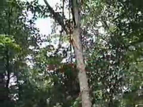 Camp Takodah Promotional Video 1992