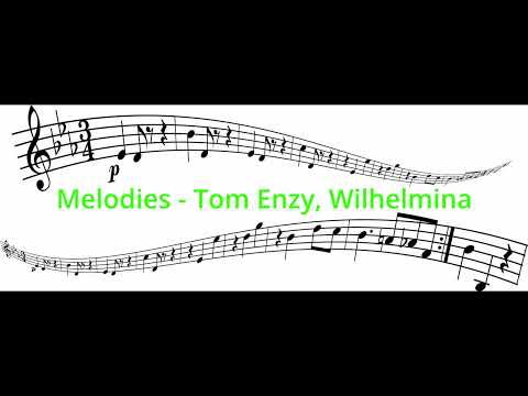 Melodies (Tom Enzy, Wilhelmina) - EARRAPE