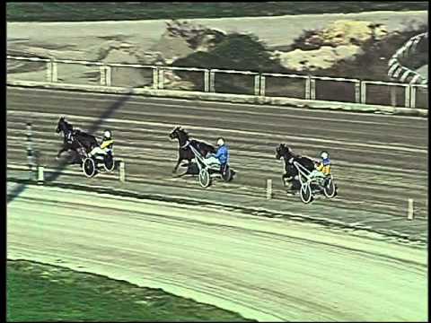 Trotto 08/12/2015 - 1° prova di qualifica