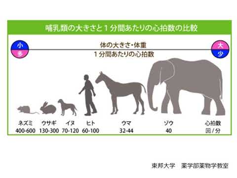 令和3年度第2回がんサロン虹（がんについて知ろう）