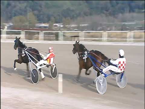 Trotto 24/01/2020 - 2ª corsa