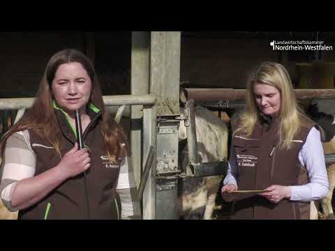 Stallgespräch Haus Düsse - Zentrum für Digitalisierung in der Landwirtschaft