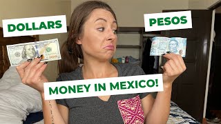 Dollars?? Pesos?? How to Pay in MEXICO!