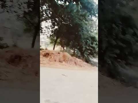 bddjhdfjhshd#yxngb #song