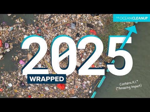 Yes, humans are winning the fight against ocean plastic pollution