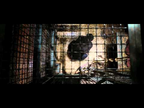 Rise of the Planet of the Apes | Official  International Trailer | 2011