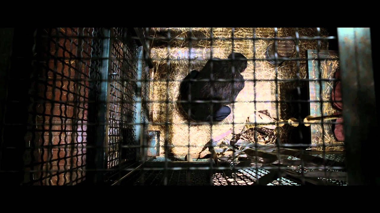 Rise of the Planet of the Apes | Official International Trailer | 2011 - YouTube