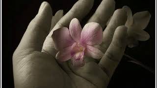 A mano a mano... RINO GAETANO -