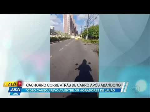 Alô Juca: Motociclista flagra abandono de cachorro em Lauro de Freitas