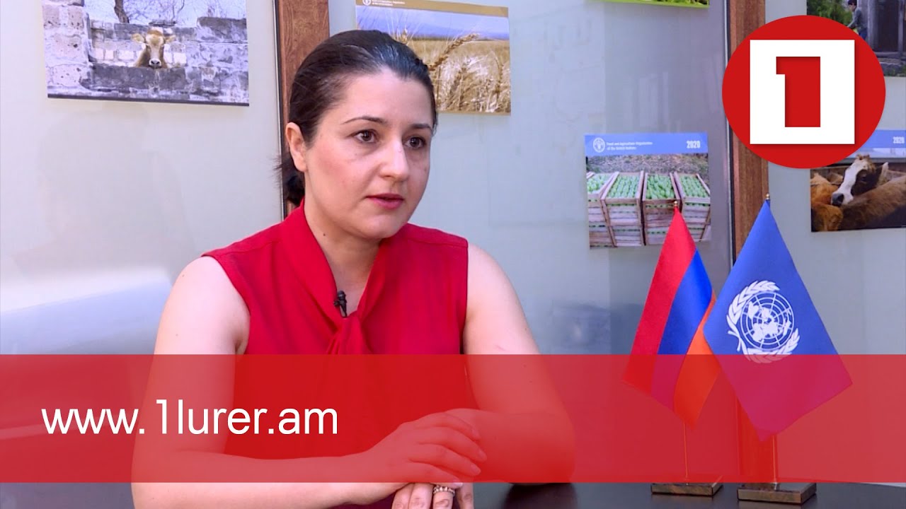 Տեղահանված արցախցիներին օգնություն ՄԱԿ-ից