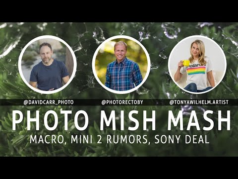 Photo Mish Mash - Winning Macro Photo, Nikon AF improvements, Sony Savings