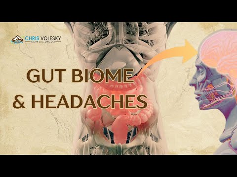 The Gut Biome And Headaches - Chinese Medicine Case Study