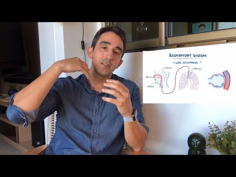 Respiração e exercícios: como respirar no seu Hiit, crossfit ou intervalado