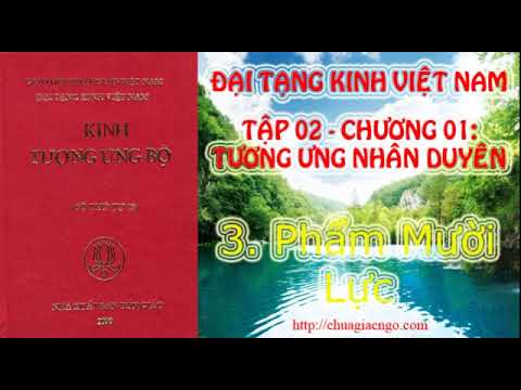 Kinh Tương Ưng Bộ - Tập 2: Chương 1: Tương Ưng Nhân Duyên - 3. Phẩm Mười Lực