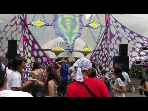 Nukleall LIVE @ OVERDRIVE 2018 Part Three [Psytrance Party Japan]
