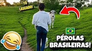 AS MELHORES PÉROLAS BRASILEIRAS 🇧🇷 | TENTE NÃO RIR 🤣