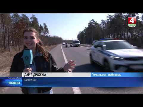 Автопробег, посвященный Дню единения народов Беларуси и России, прошел на Гомельщине