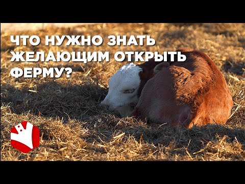 , title : 'Ферма с нуля | Что нужно знать желающим открыть ферму | Как стать фермером'