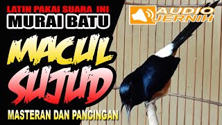 Download lagu MURAI BATU GAYA SUJUD | LATIH PAKAI SUARA INI BOSS | langsung nyaut tambah gacor mp3 Download lagu MURAI BATU GAYA SUJUD | LATIH PAKAI SUARA INI BOSS | langsung nyaut tambah gacor mp3