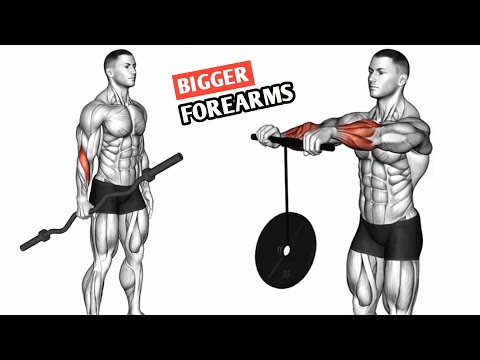 Perfect Forearm Workout | Best Exercises for bigger Forearms