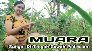 Download lagu mancing ikan di sungai kampung pedesaan pemandangan ya indah mp3 Download lagu mancing ikan di sungai kampung pedesaan pemandangan ya indah mp3