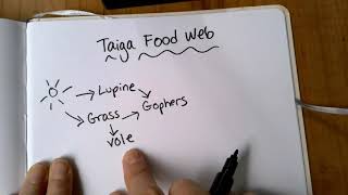 Assignment #5 - Check your taiga food web