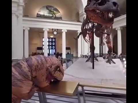 young dinosaur crying after seeing his dad in a museum