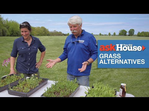 Eco-Friendly Grass Alternatives | Ask This Old House