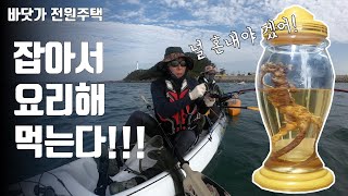 더덕주가 제 자존심을 건드려 혼내줬습니다.(서천 마량포구 카약낚시)