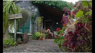preview picture of video 'Promo Madeira Rural - Holiday Accommodation Madeira Island'