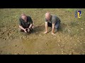 Natuur en Zo TV - de geelbuikvuurpad (2)