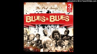 Blues &amp; Blues – The Best Songs - CD 1 - 1-16.- Saturday Night Fish Fry