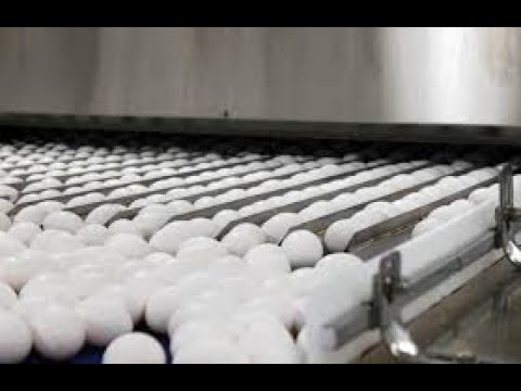 ALC visits with Chris Eagleson of Cal-Maine Foods