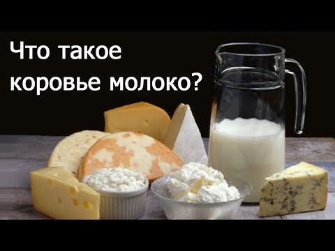 Что такое коровье молоко? (Майкл Клэпер)